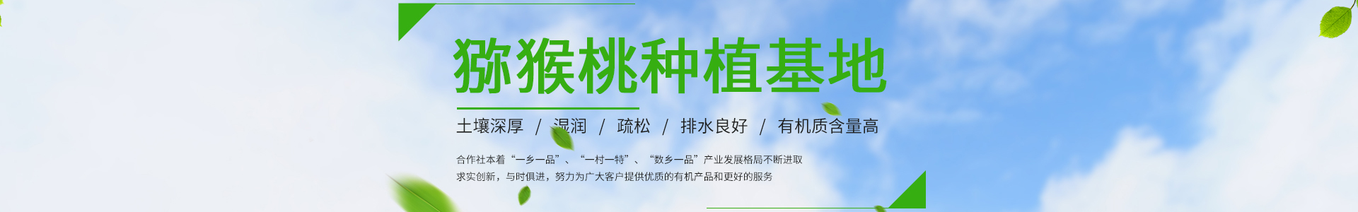 优果荟官网
